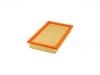 Air Filter:CY01-13-Z40A