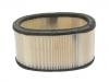 Filtro de aire Air Filter:25043556