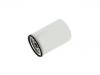 Kraftstofffilter Fuel Filter:20879812