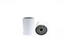 Kraftstofffilter Fuel Filter:20386081