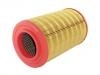 Filtro de aire Air Filter:YL5U-9601-AA