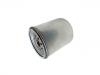 Filtre carburant Fuel Filter:2R0 127 177 A