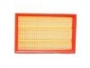 Air Filter:1016002627