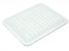 Air Filter:2010005AAF0000