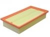 Luftfilter Air Filter:B21-1109111