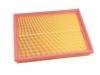 Luftfilter Air Filter:10137097