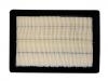 Air Filter:2010005ASV0000