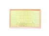 Air Filter:11090140B01B00