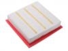 Air Filter:1109013-Y01