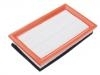 Air Filter:1109013-J02