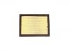 Air Filter:SL0119019010A0A0026