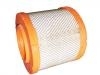 Filtro de aire Air Filter:1109060PK