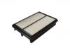 Air Filter:1109130U7500