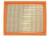 Filtro de aire Air Filter:2461205