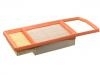 Filtro de aire Air Filter:52000306