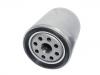 Filtre carburant Fuel Filter:21925732