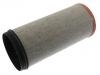 Filtro de aire Air Filter:20411816