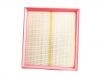 Luftfilter Air Filter:1109160-DD01